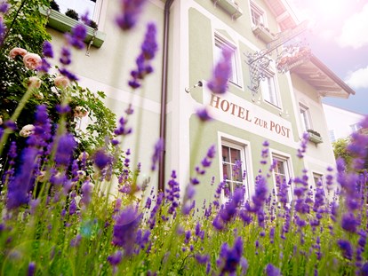 Stadthotels - Garten - Hausansicht - Das Grüne Hotel zur Post - 100% BIO
