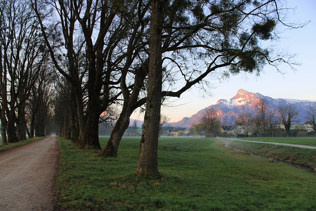 Radfahren auf der Hellbrunner Allee