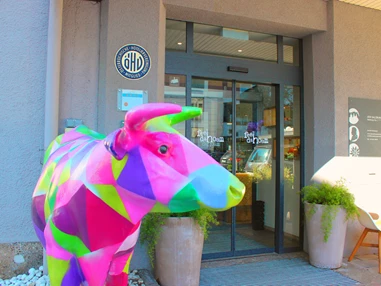 Hotel: Hoteleingang - Hotel Der Salzburger Hof