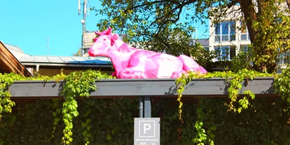 Stadthotels - Preisniveau: gehoben - Hotelparkplatz - Hotel Der Salzburger Hof
