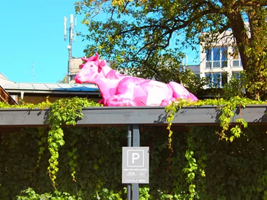 Hotel: Hotelparkplatz - Hotel Der Salzburger Hof