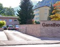 Hotel: Ein großer Vorteil sind die vorhandenen Parkplätze direkt am Hotel. - Hotel Ganslhof