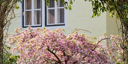 Stadthotels - Verpflegung: Frühstück - Salzburg-Stadt Parsch - Zugang zum Hotel Rosenvilla - Hotel Rosenvilla