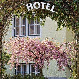 Hotel: Zugang zum Hotel Rosenvilla - Hotel Rosenvilla