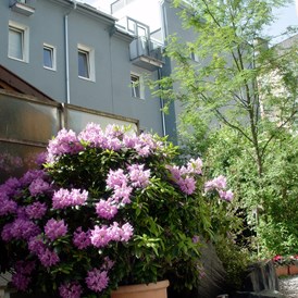 Hotel: Gartenansicht - BerglandHotel